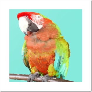 Stunning Harlequin Macaw On A Perch Vector Art Posters and Art